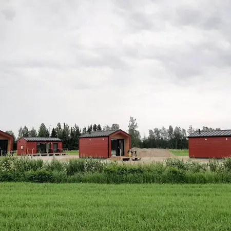 Helmi